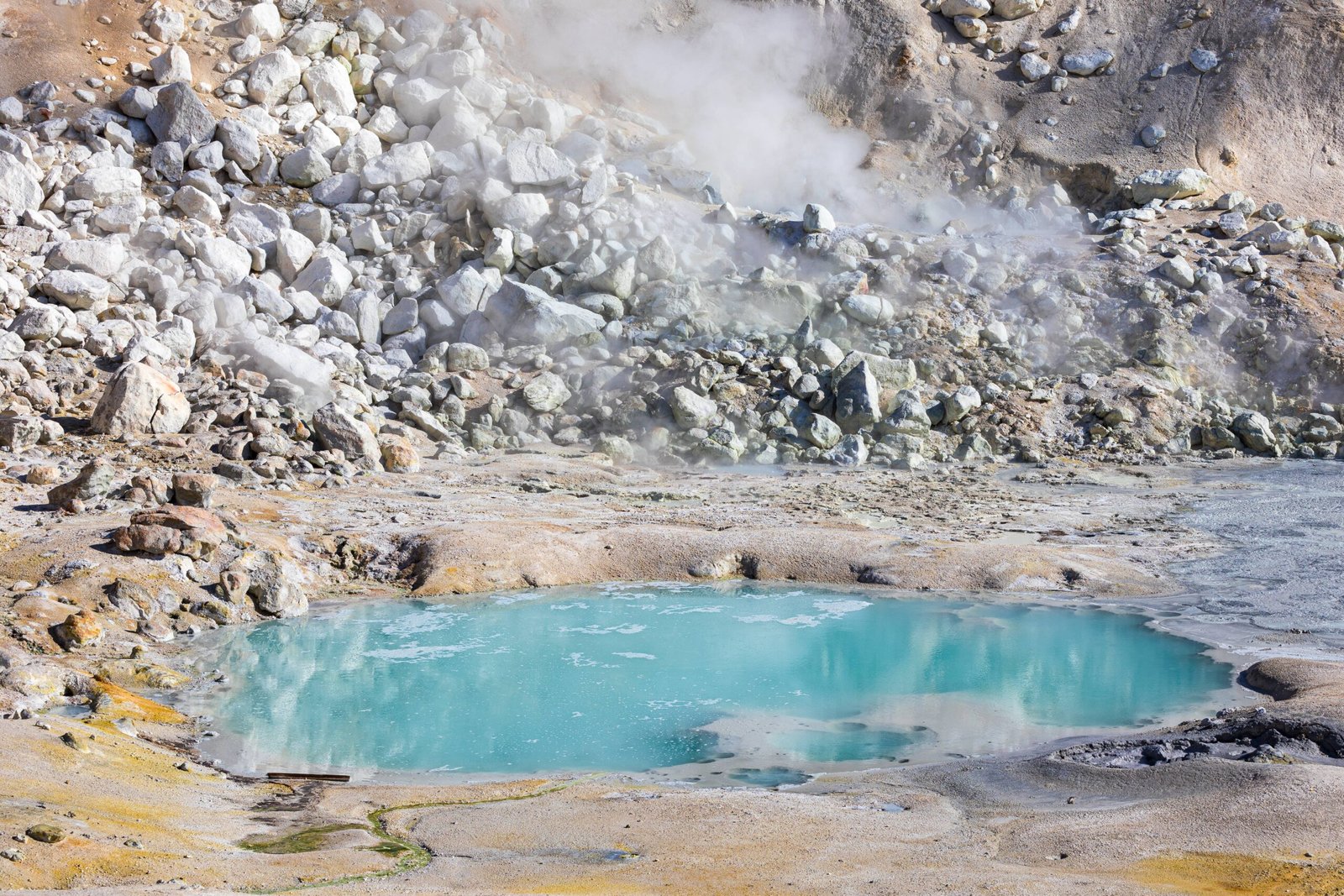 Preservation Through Science and Stewardship (image credits: wikimedia)