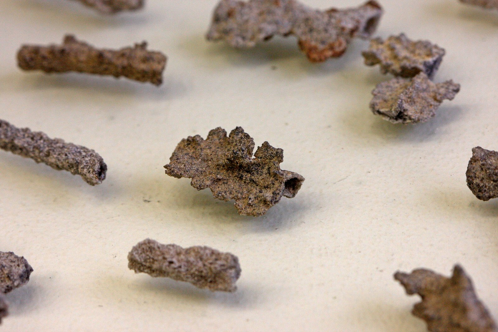 Collecting and Preserving Fulgurites (image credits: wikimedia)