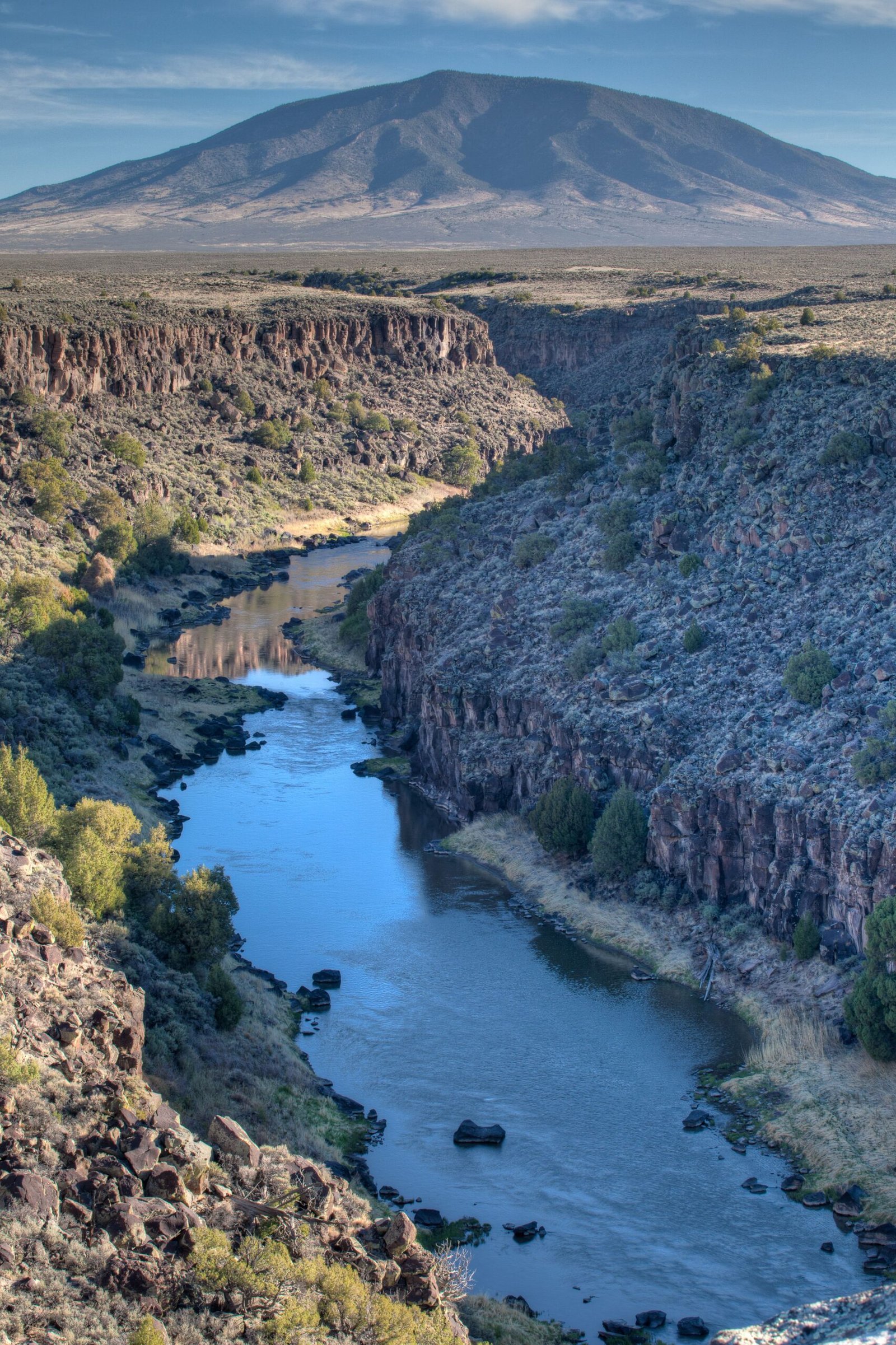 Willows, Aspens, and Cottonwoods: Vegetation Makes a Comeback (image credits: wikimedia)