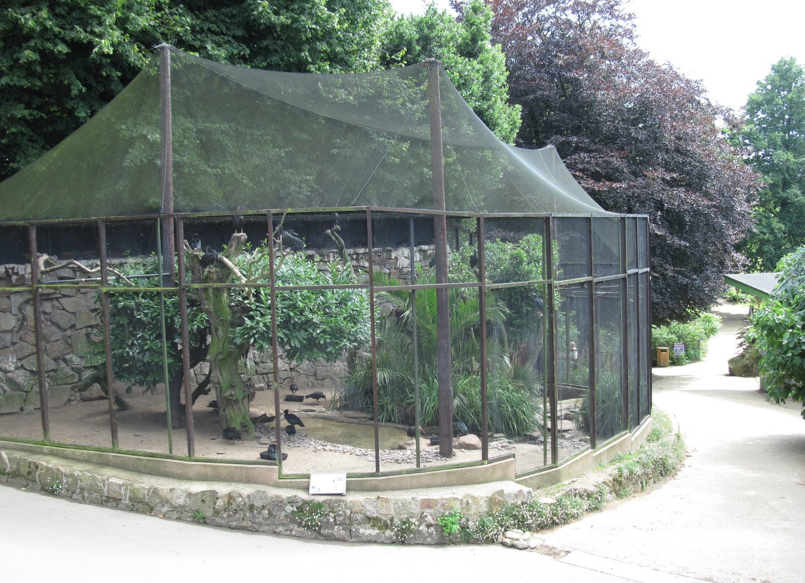 Durrell Wildlife Park, Jersey (image credits: wikimedia)