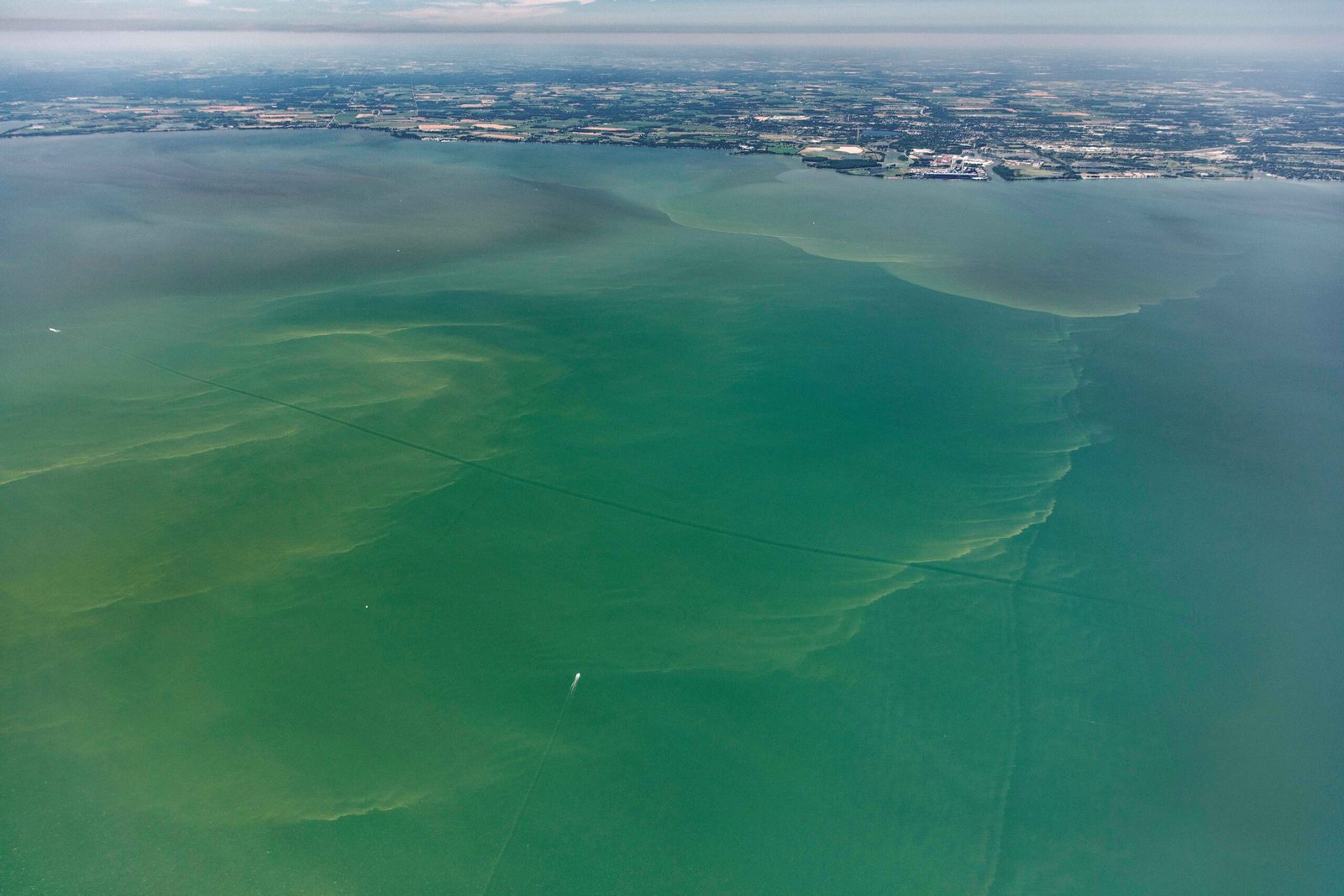 The Rise of Harmful Algal Blooms (image credits: wikimedia)