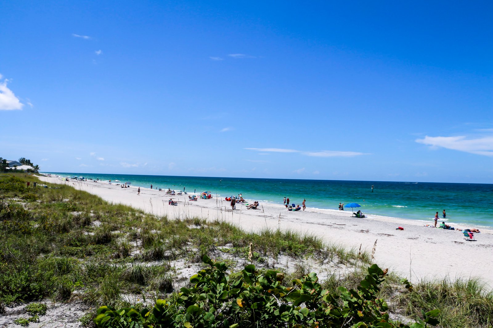 Finding the First Floridians: Evidence Beneath the Waves (image credits: wikimedia)