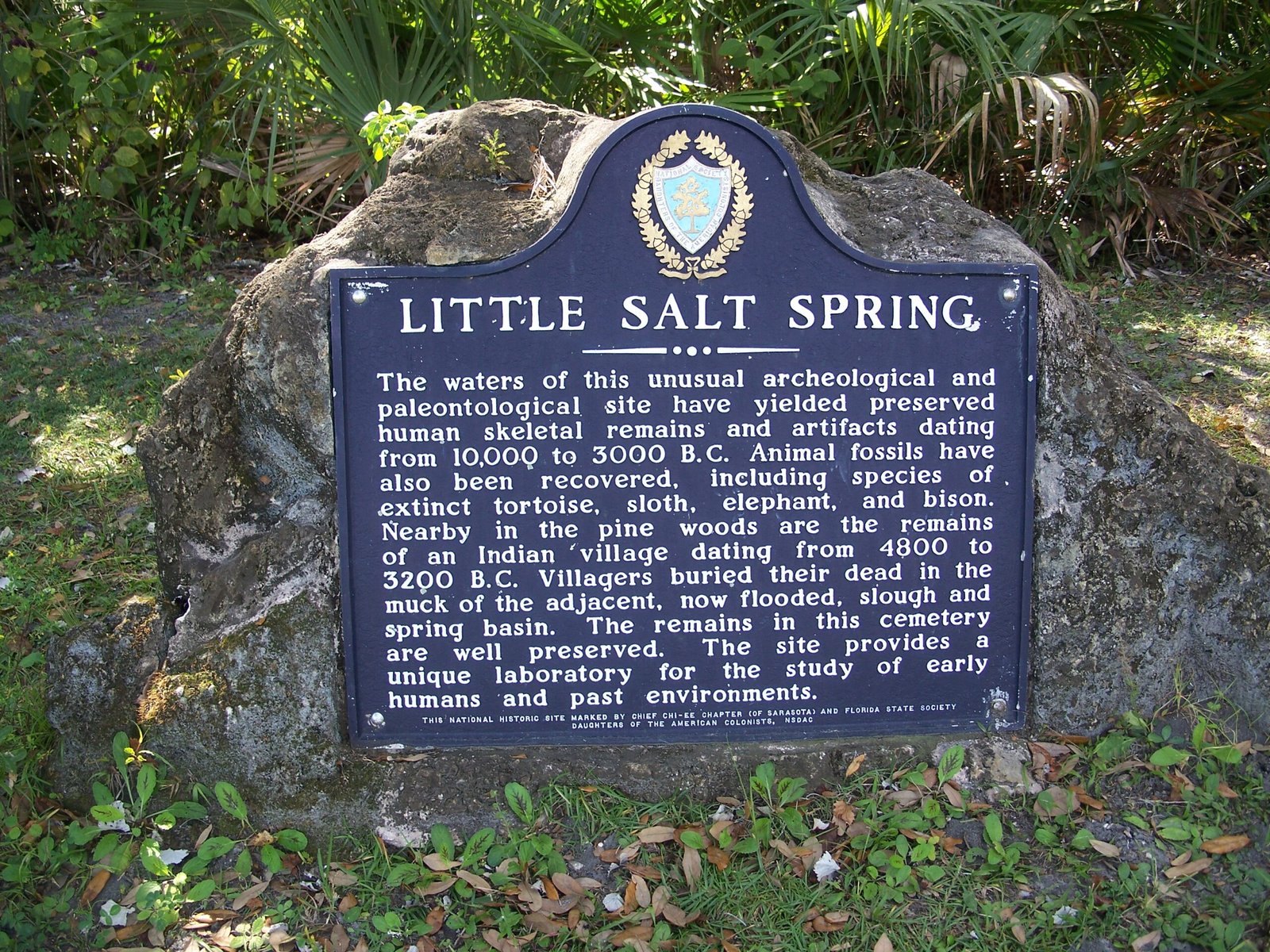 Underwater Springs: Oases of Preservation (image credits: wikimedia)