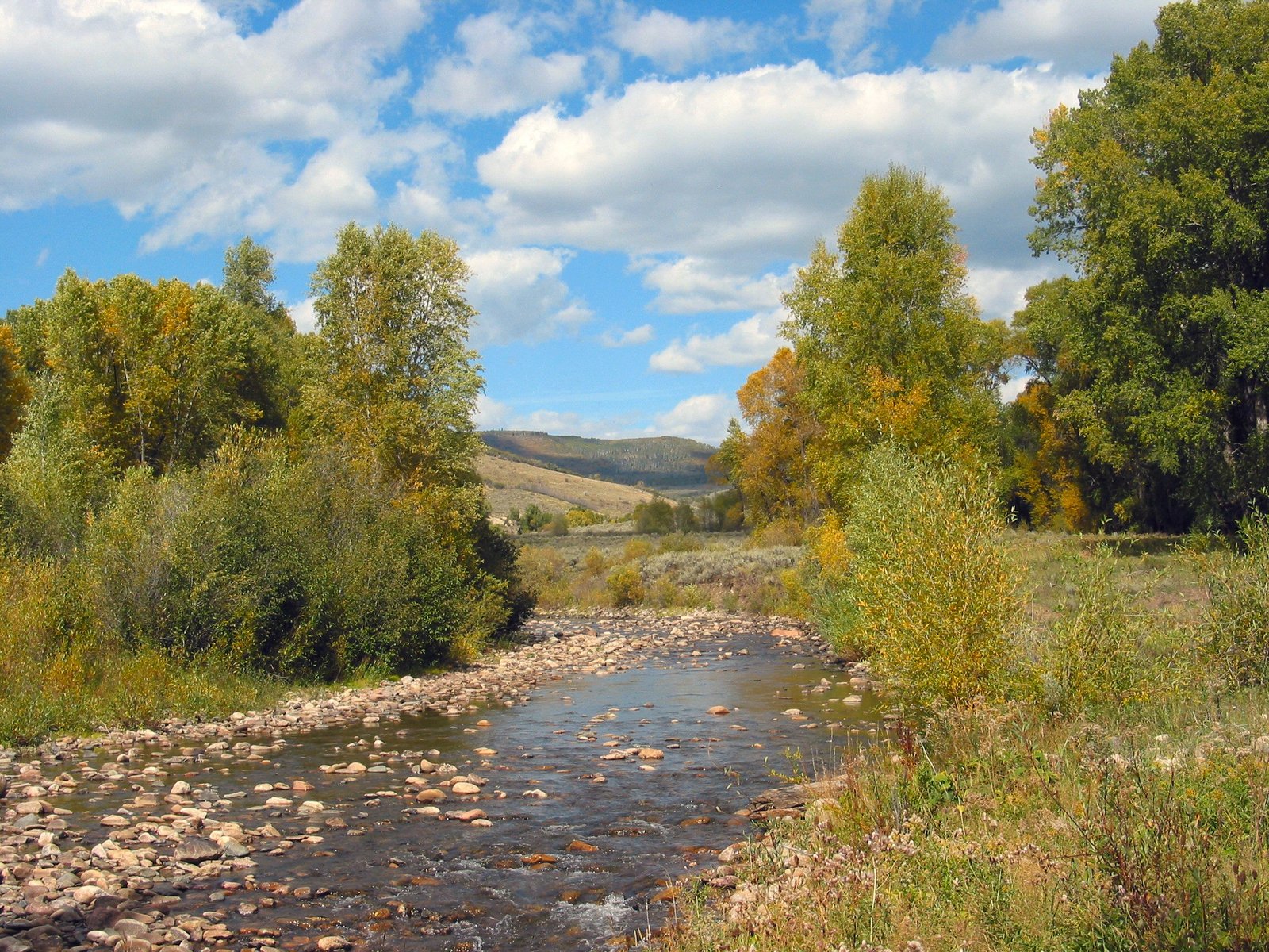Habitat Preservation: Extending Conservation Beyond the Gates (image credits: wikimedia)