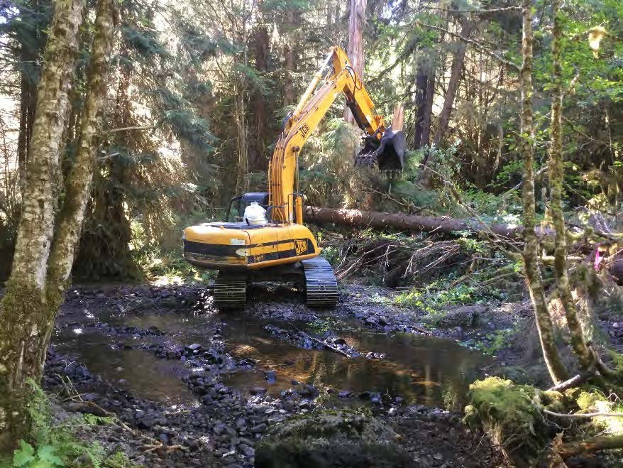 Threats Facing the Tongass (image credits: wikimedia)