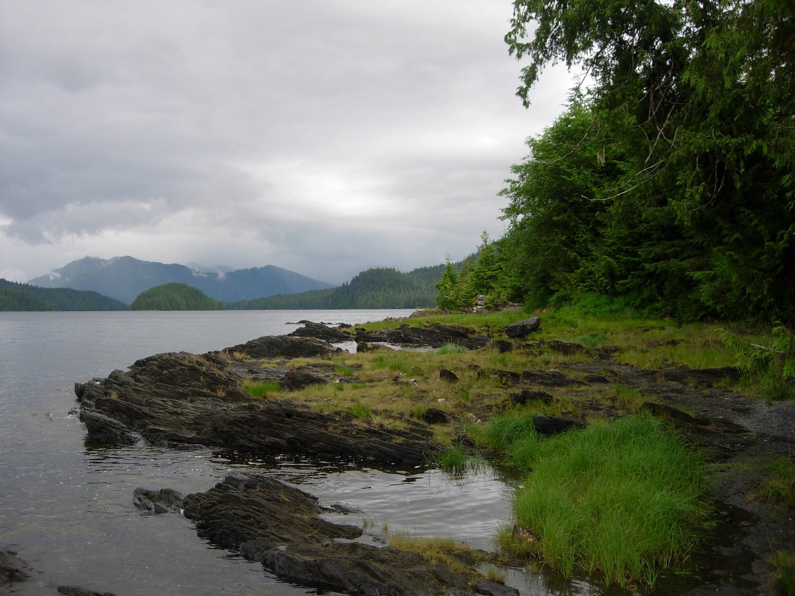 Conservation Efforts: Guardians of the Forest (image credits: wikimedia)