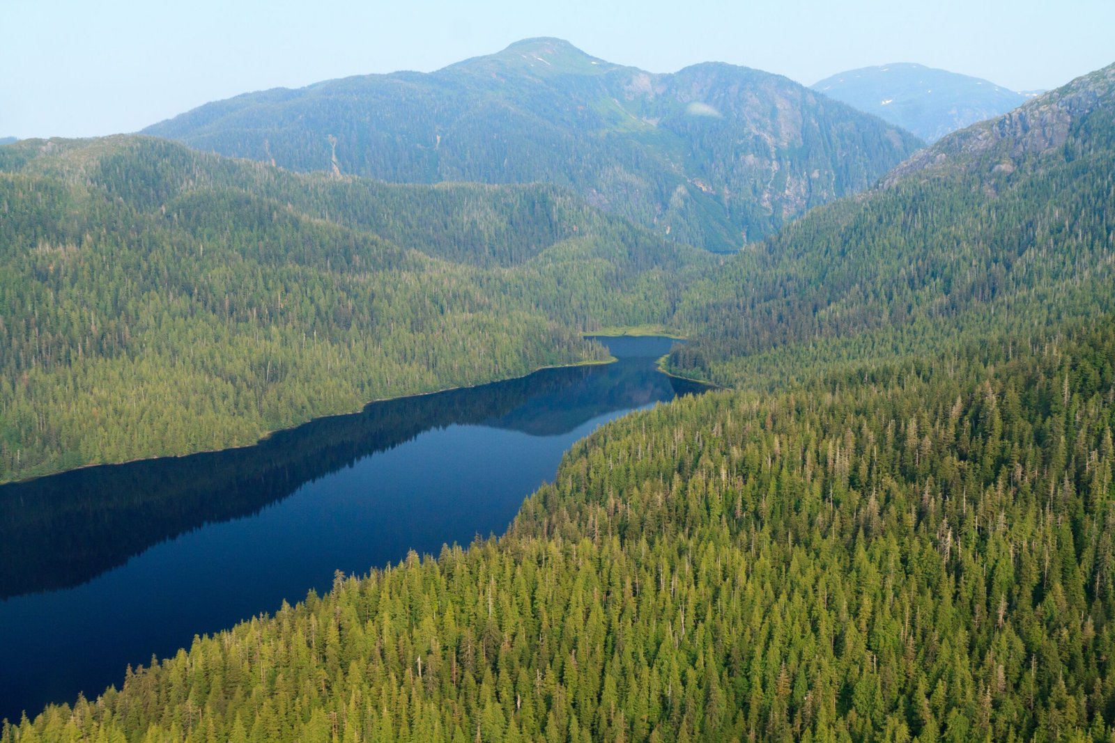 Why the Tongass Matters for All of Us (image credits: wikimedia)