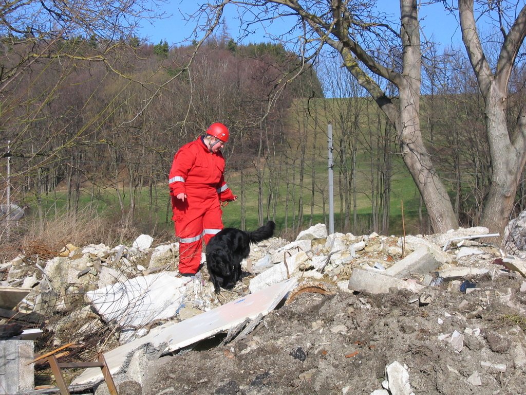 From Family Pets to Conservation Heroes (image credits: wikimedia)