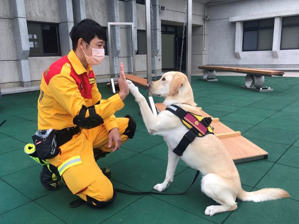 How Conservation Dogs Are Trained to Sniff Out Endangered Species