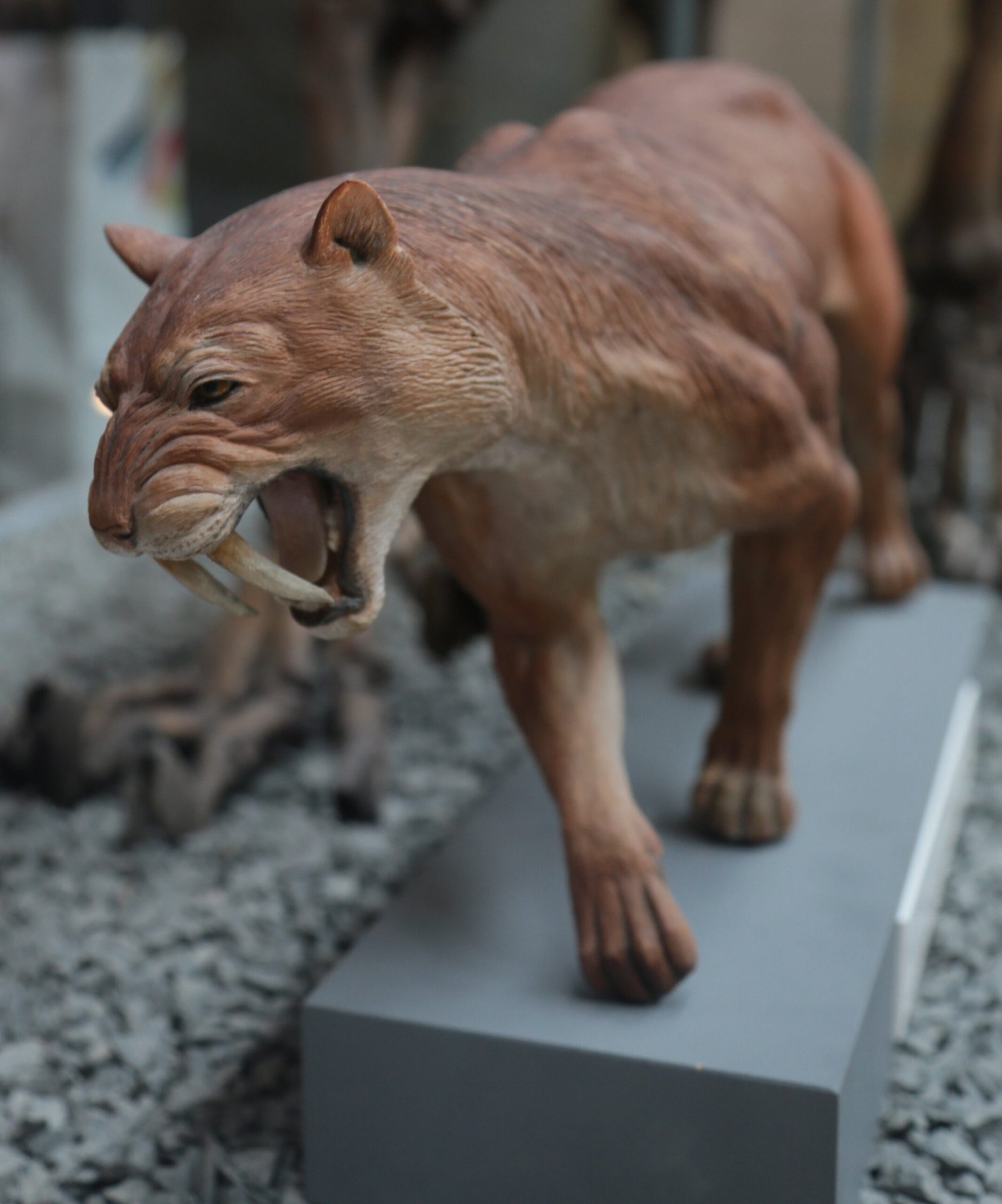 Saber-Toothed Cat: Predators of the Pleistocene (image credits: wikimedia)
