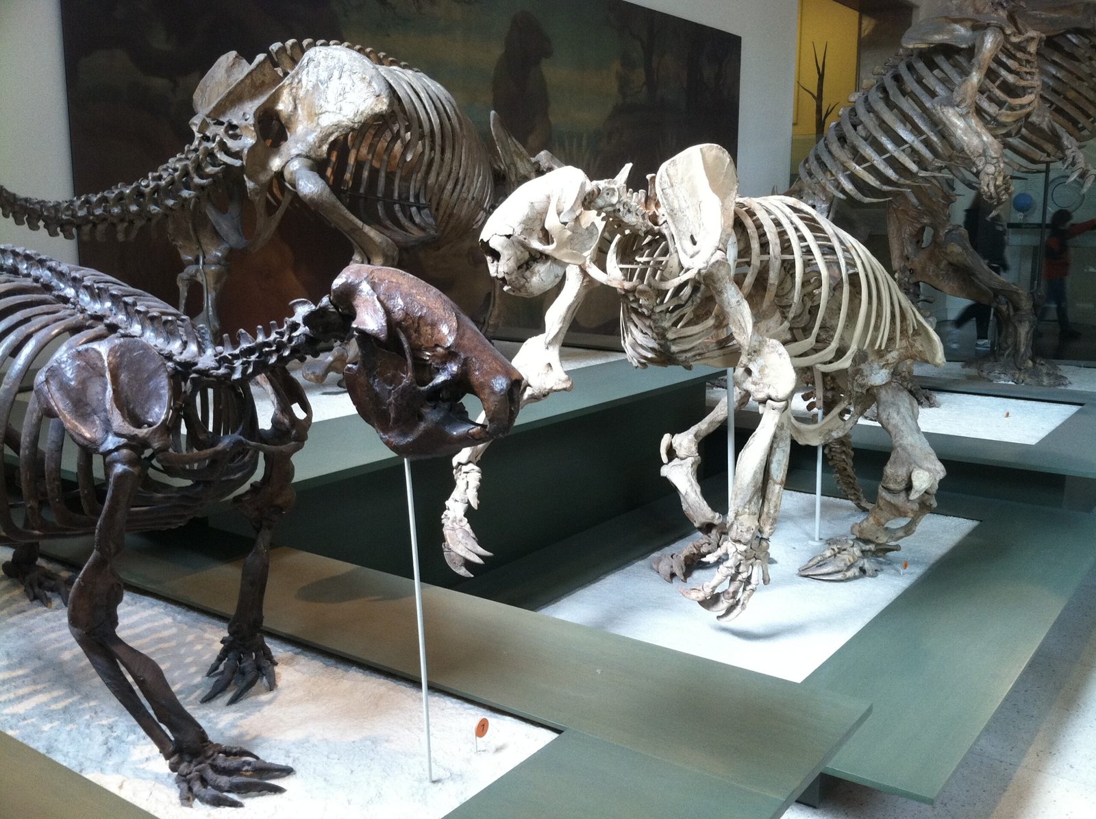 Giant Ground Sloth: The Gentle Giants (image credits: wikimedia)