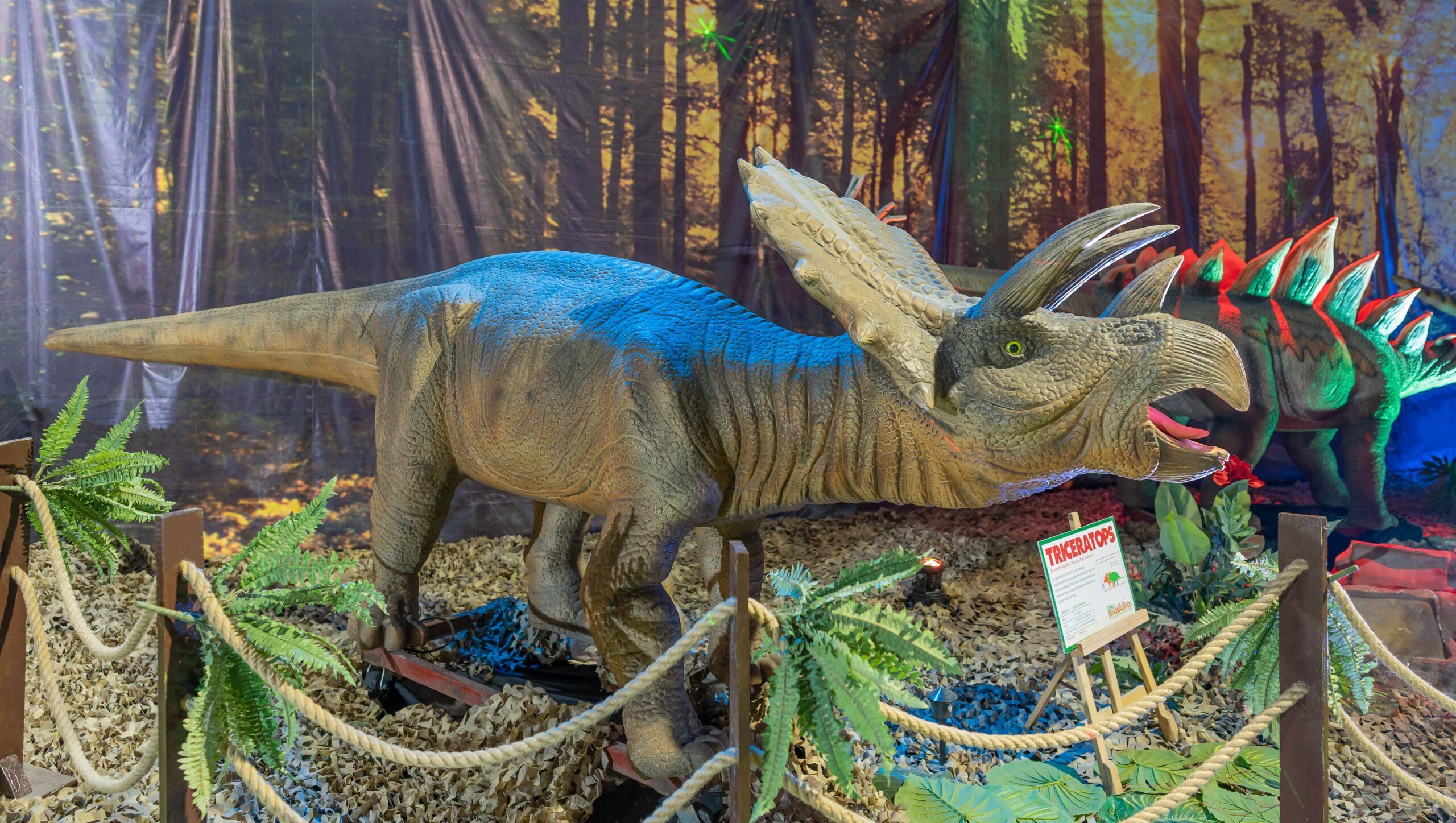 10 Prehistoric Creatures Once Roaming National Park Lands – For National Park Week