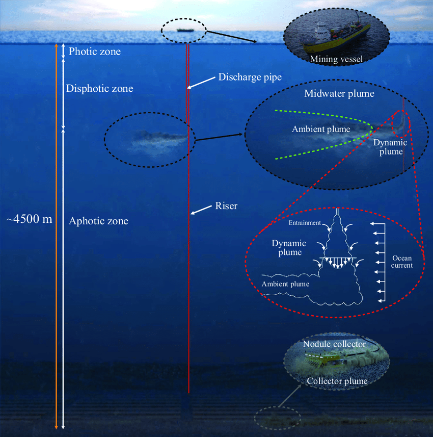 The International Seabed Authority: Ocean’s Gatekeeper (image credits: wikimedia)
