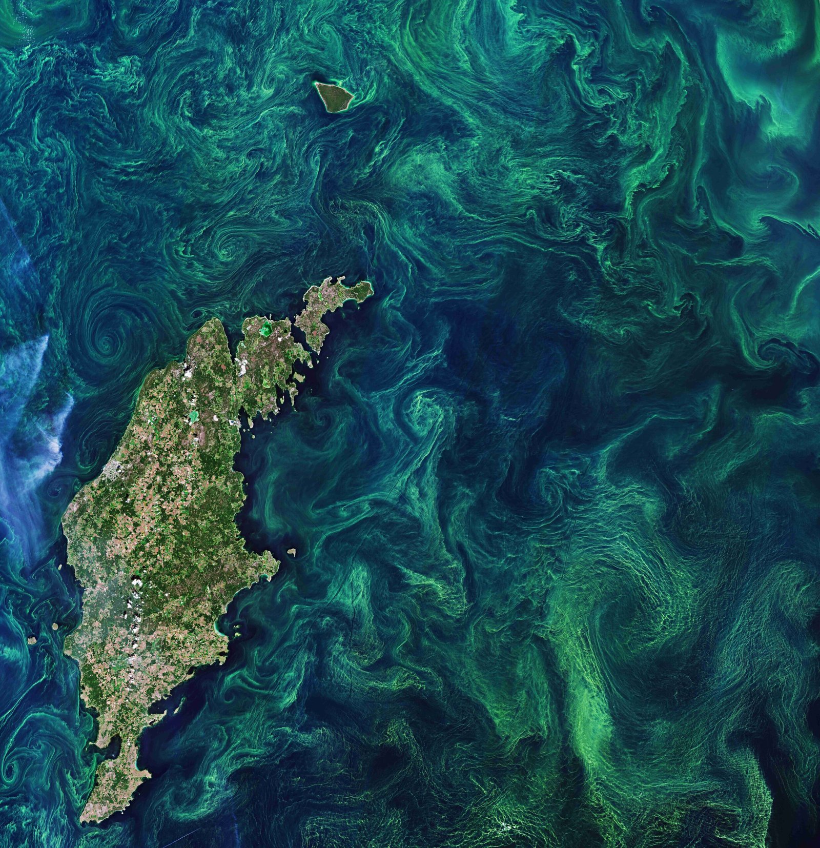 Environmental Risks and Unknowns (image credits: wikimedia)