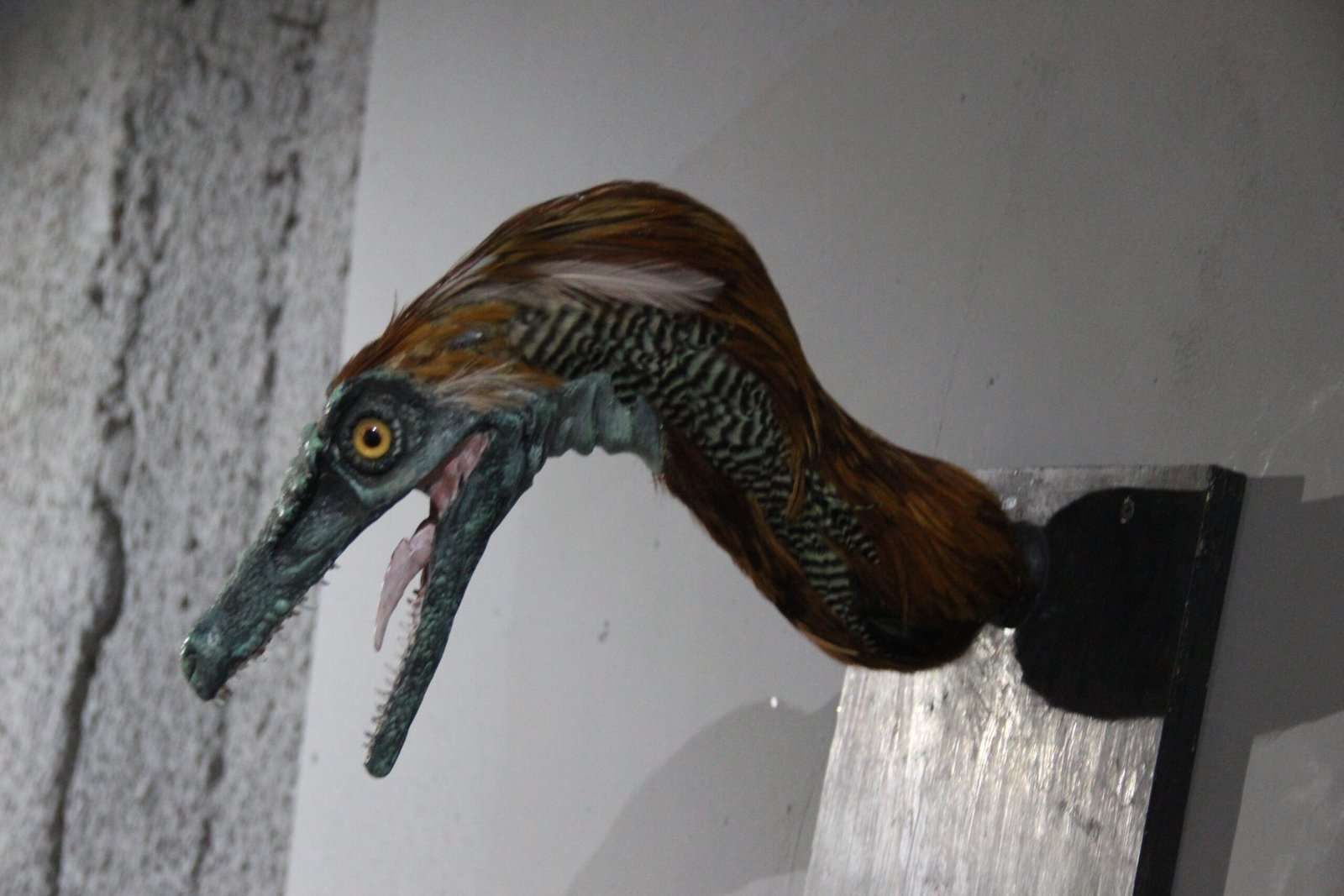 What Feathers Tell Us About Dinosaur Life (image credits: wikimedia)