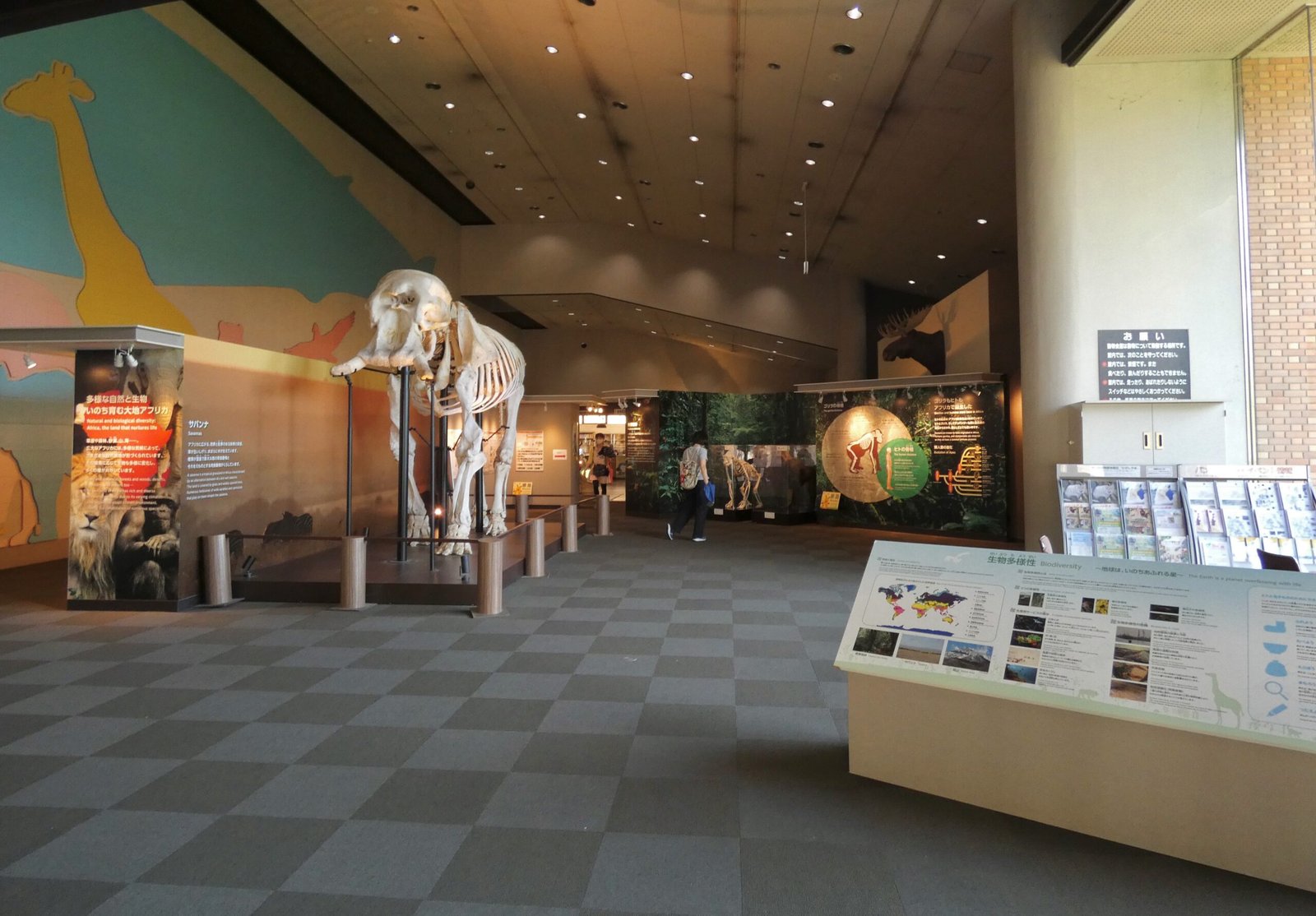 Education Beyond the Exhibit (image credits: wikimedia)
