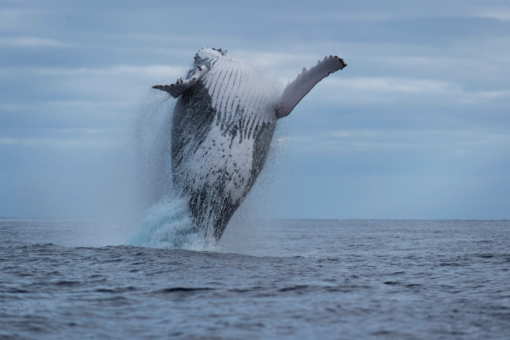 The Power of Global Awareness (image credits: rawpixel)