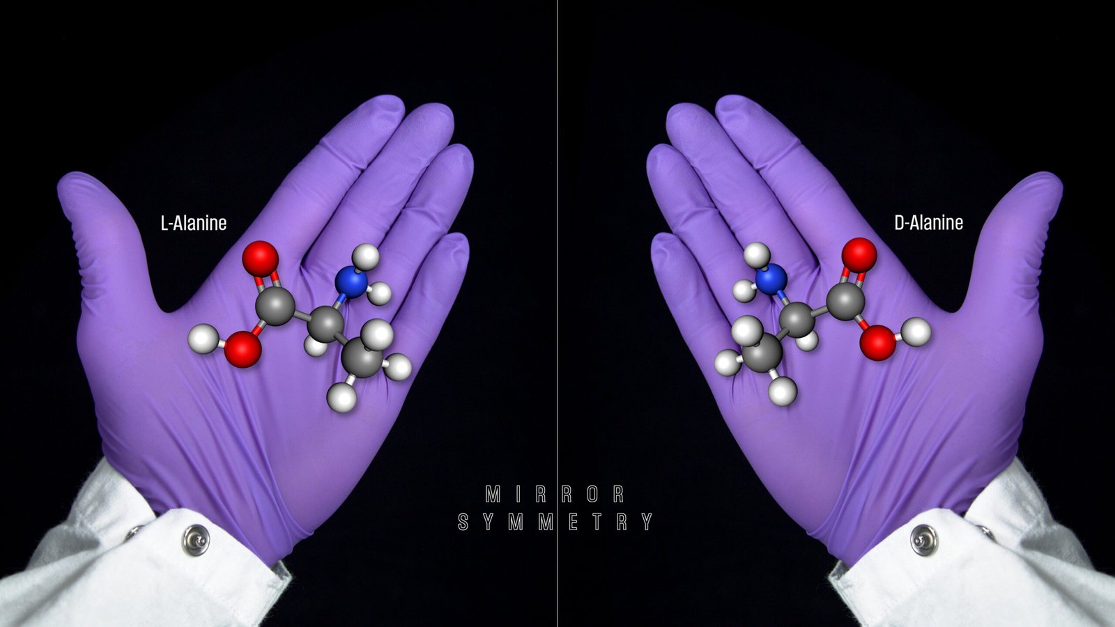 Organic Molecules: The Building Blocks of Life (image credits: wikimedia)