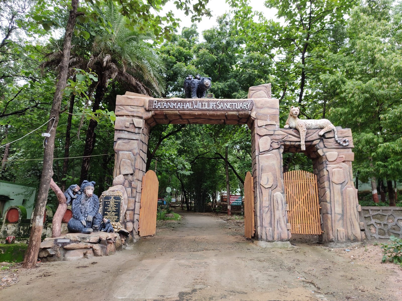 Transforming the Zoo Experience: From Spectacle to Sanctuary (image credits: wikimedia)