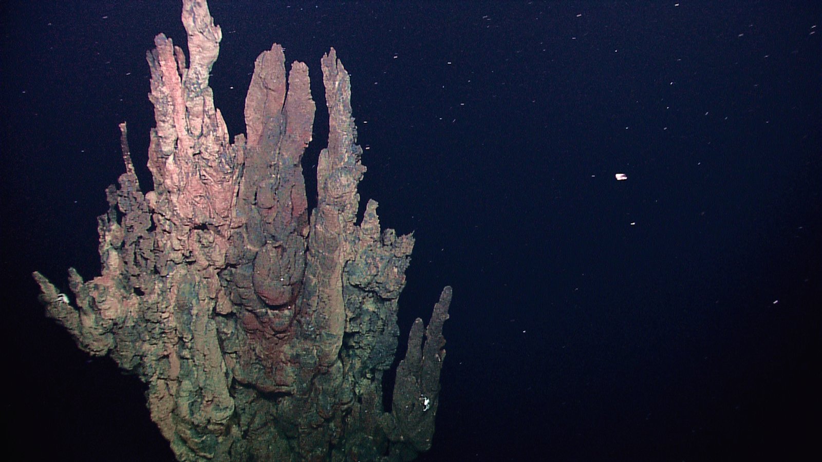 The Alien World of Hydrothermal Vents (image credits: wikimedia)