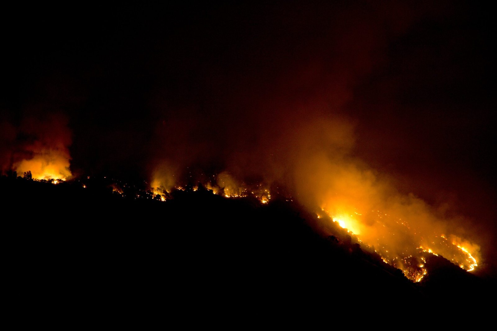 The Rising Inferno: Wildfires in the Sierra Nevada (image credits: wikimedia)