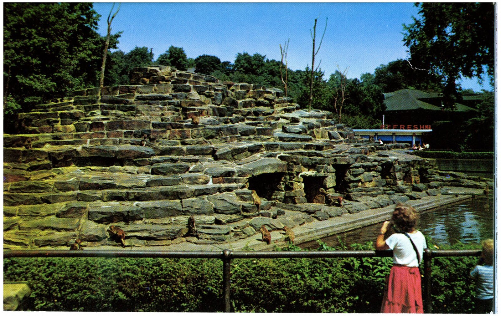 The Wilds (USA): A Safari in Ohio (image credits: wikimedia)