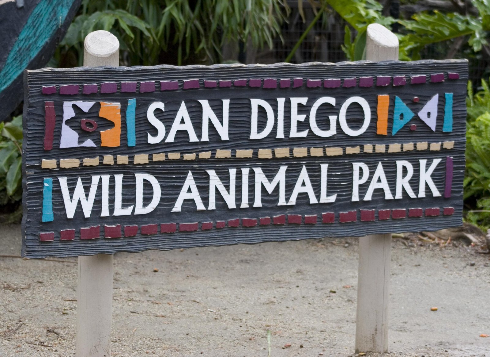 San Diego Zoo Safari Park (USA): California’s Conservation Giant (image credits: wikimedia)