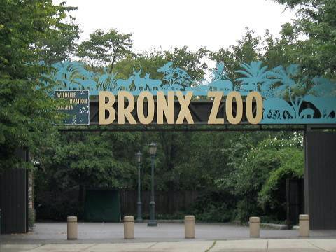 Bronx Zoo (USA): Urban Jungle, Global Impact (image credits: wikimedia)