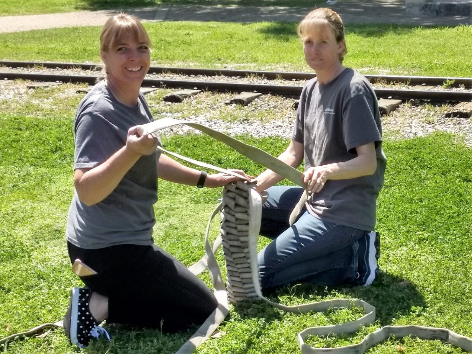 Habitat Simulation and Enrichment (image credits: wikimedia)