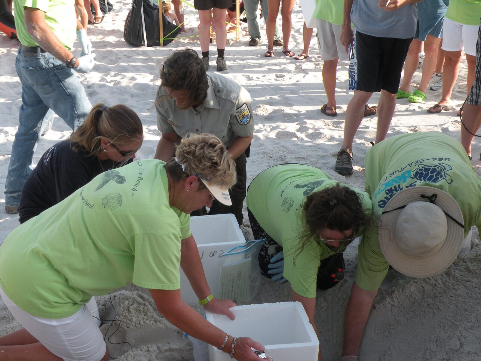 Public Engagement and Citizen Science (image credits: wikimedia)