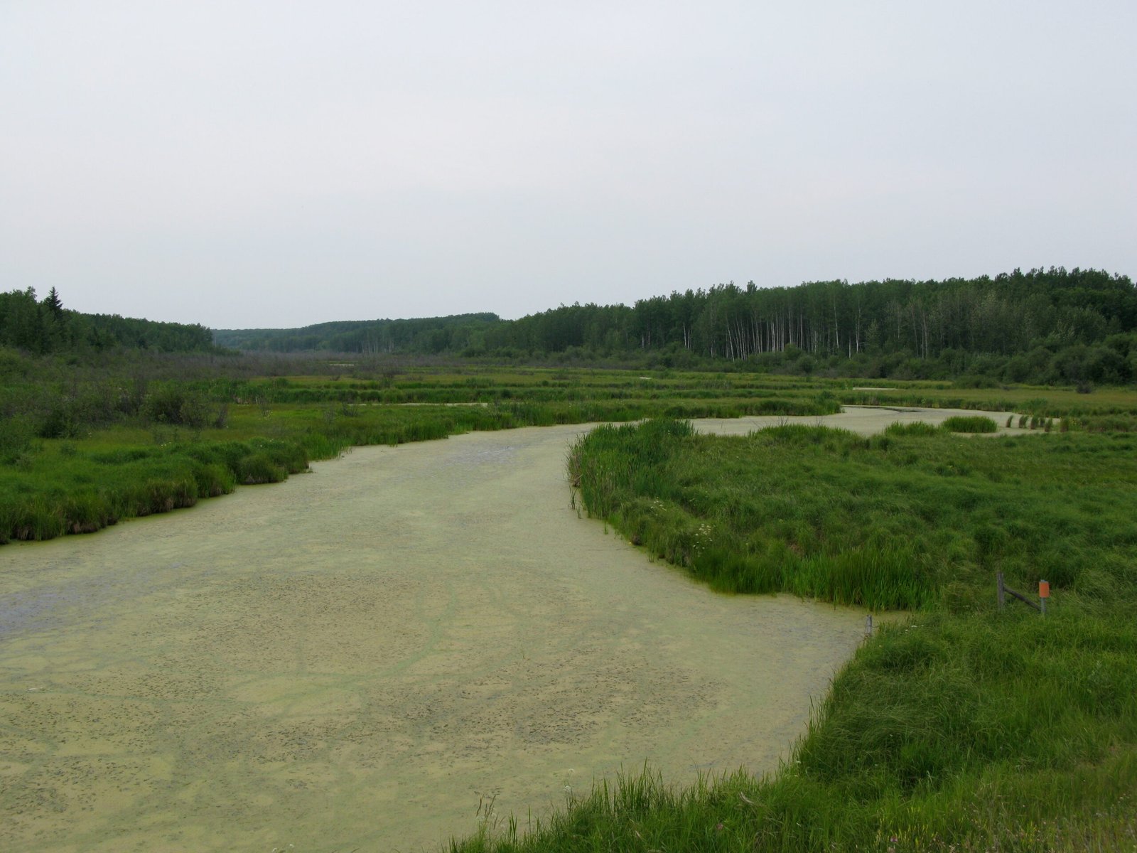 Creating Lifelines in Times of Drought (image credits: wikimedia)