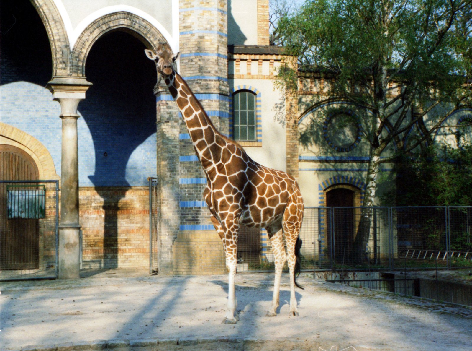 Berlin Zoological Garden (Germany) (image credits: wikimedia)