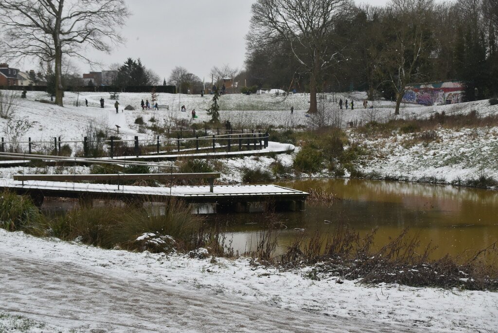 The Ancient Origins of Irish Wetlands (image credits: wikimedia)