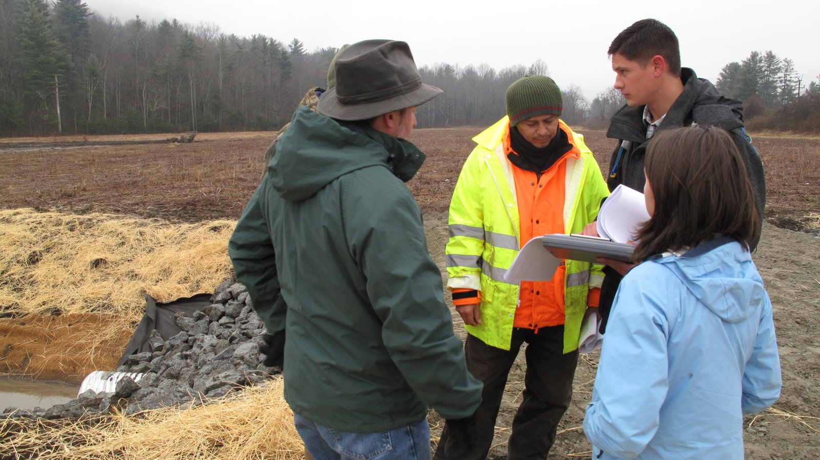 Restoration in Action: Bringing Bogs Back to Life (image credits: wikimedia)