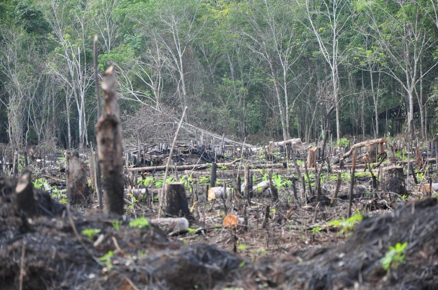 Environmental Risks and Lost Stewardship (image credits: wikimedia)