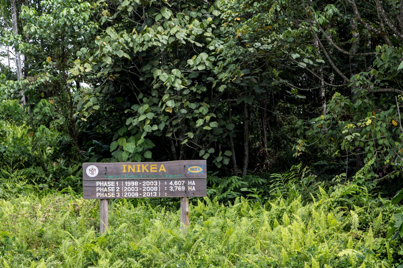 Conservation Challenges and Hope for the Future (image credits: wikimedia)