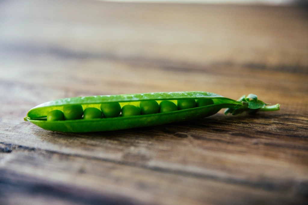 Curious Beans and Peas (image credits: rawpixel)