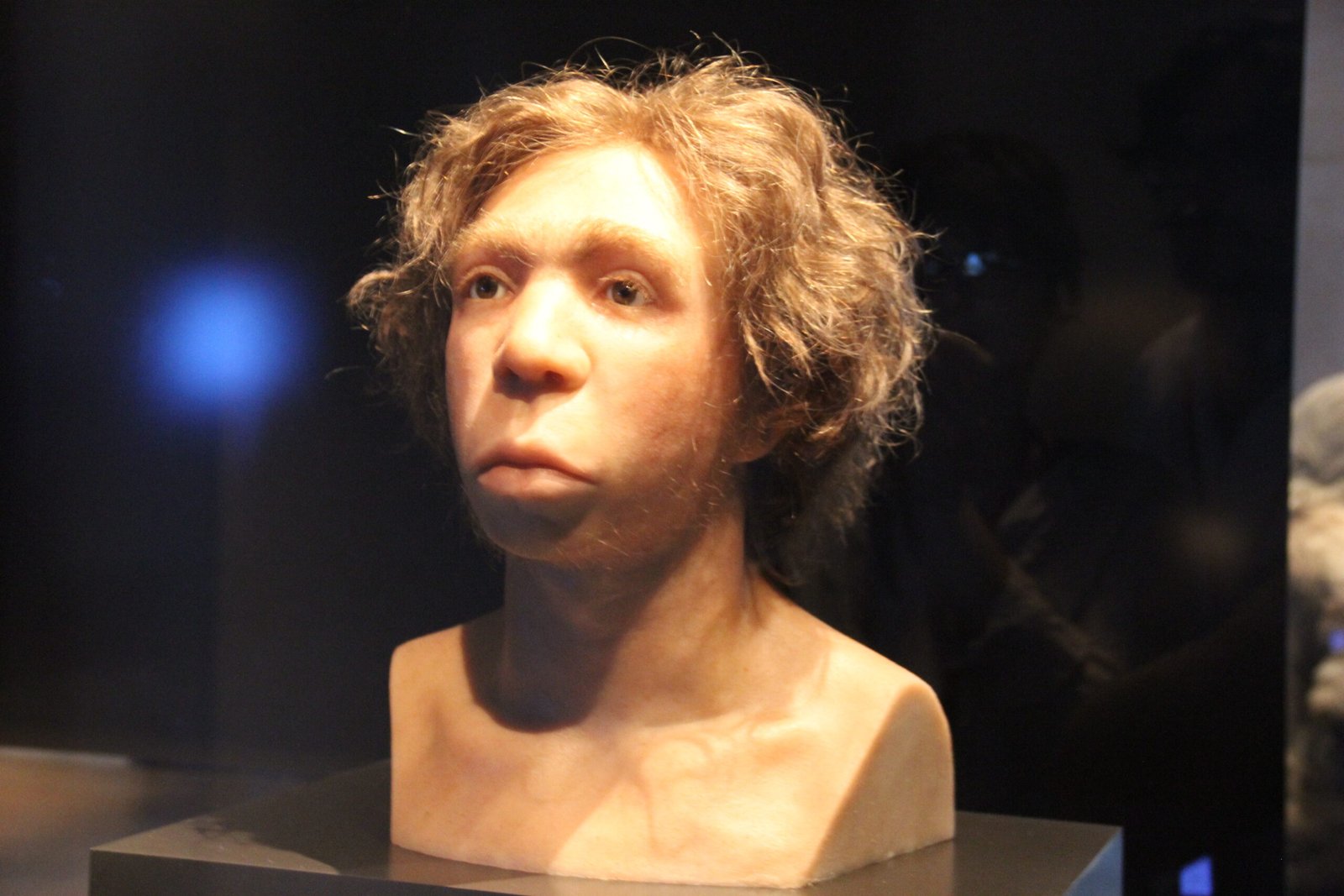 The Mystery of Neanderthal Intelligence (image credits: wikimedia)