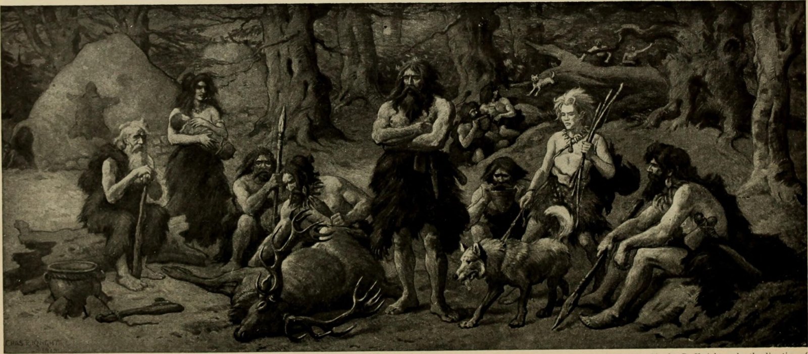 Social Life and Emotional Depth (image credits: wikimedia)