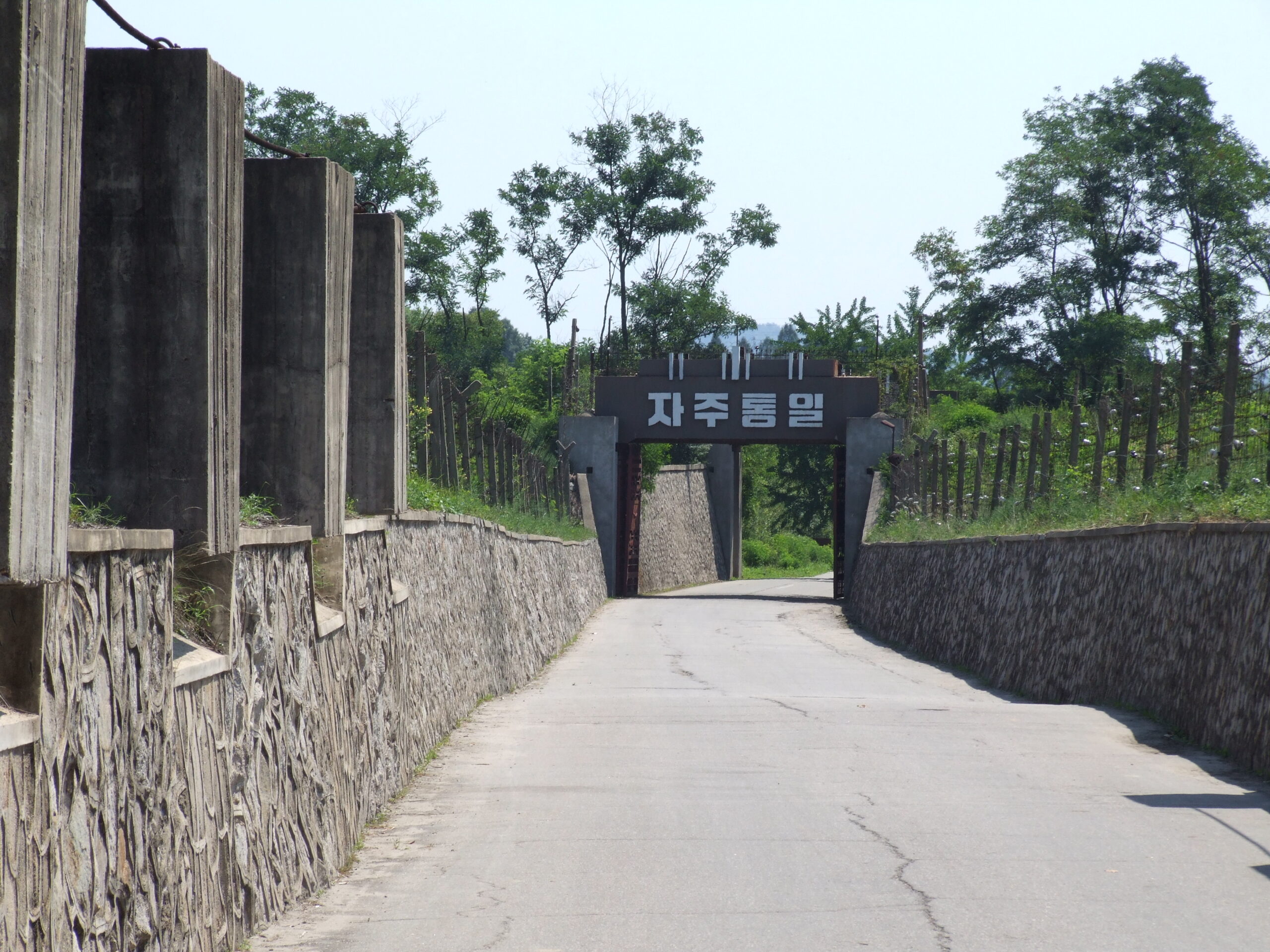 The Korean DMZ: A Border Fence That Accidentally Became a Wildlife Paradise