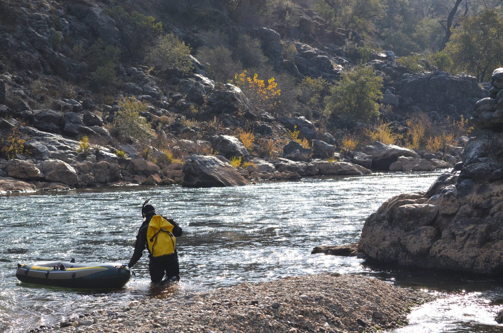 Science Joins the Struggle: Tracking Salmon’s Journey (image credits: wikimedia)