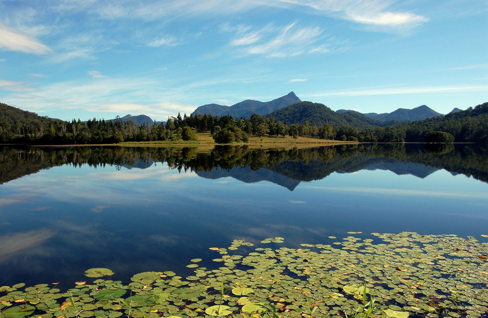 The Ancient Heartbeat of Wollumbin (image credits: wikimedia)
