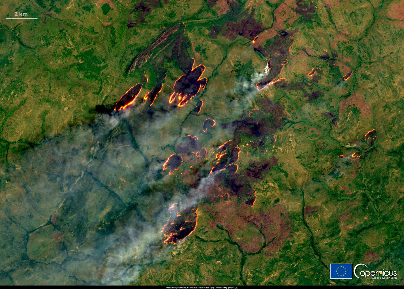Fire: Friend or Foe? (image credits: wikimedia)