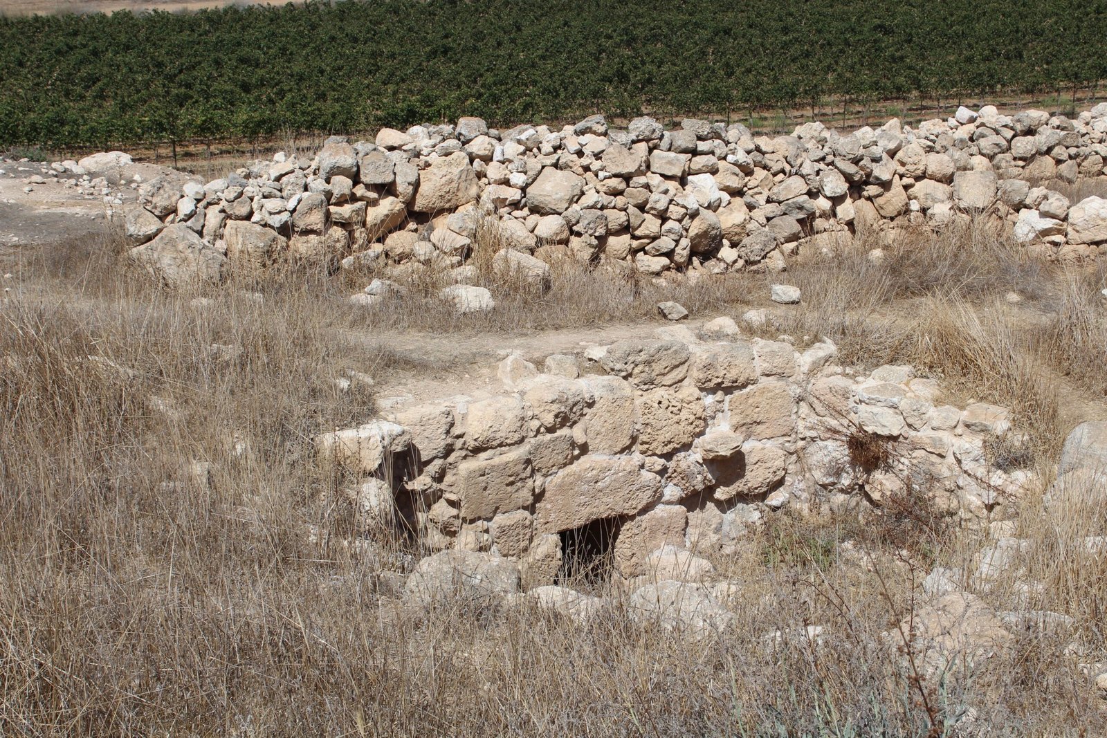 The Challenge of Conservation (image credits: wikimedia)
