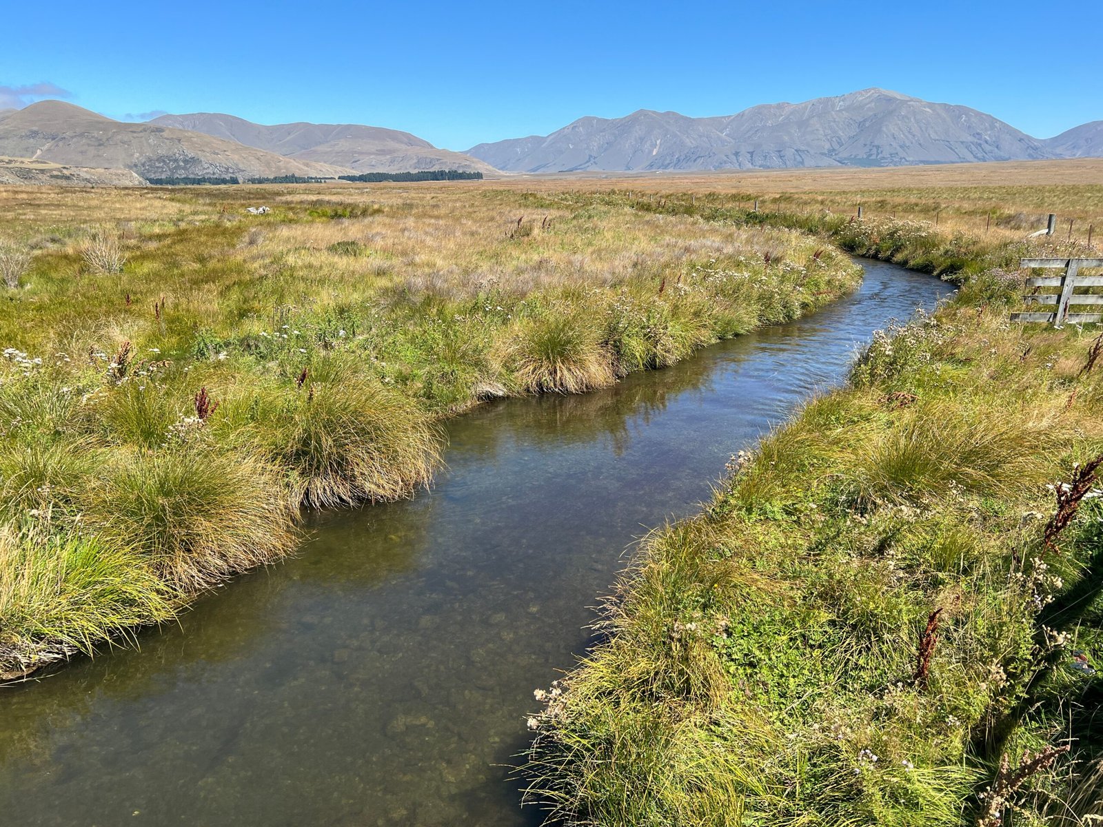Restoring Aotearoa’s Waterways: The Role of Mātauranga Māori (image credits: wikimedia)