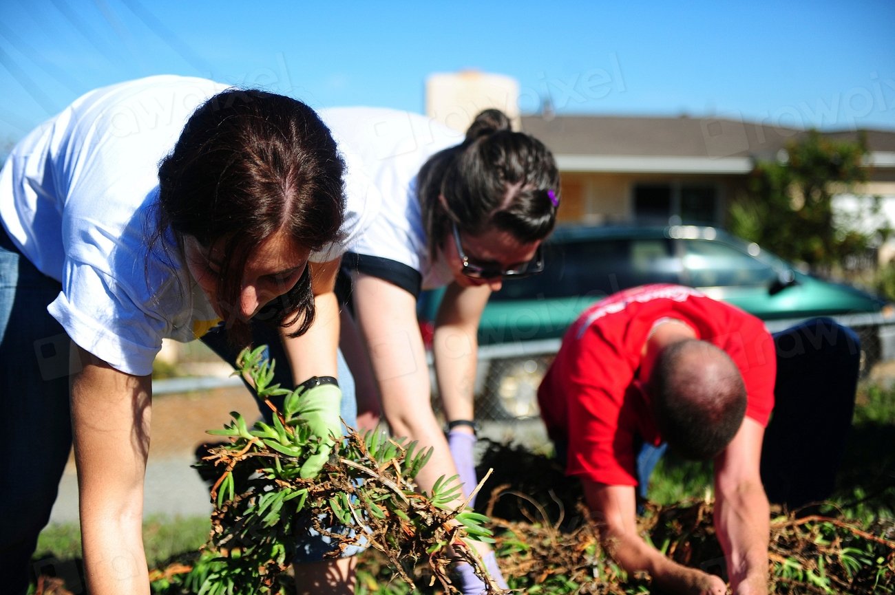 Community Involvement and Education (image credits: rawpixel)