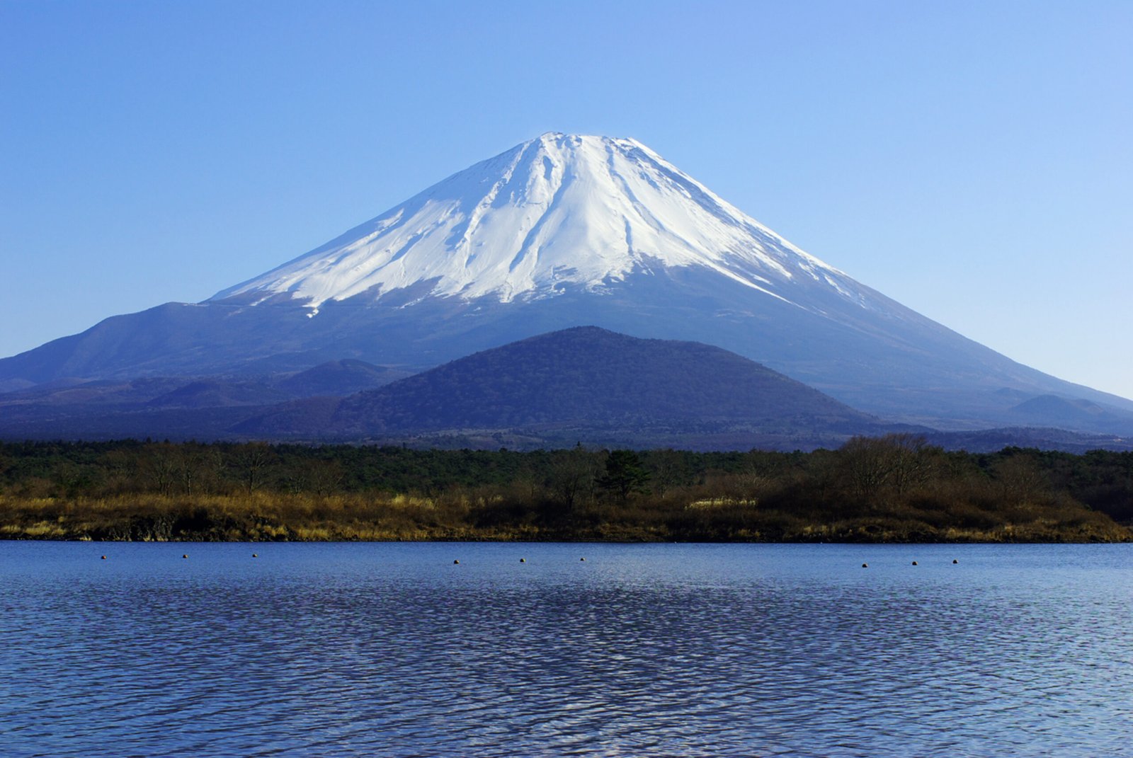 Tourism’s Booming Footsteps (image credits: wikimedia)