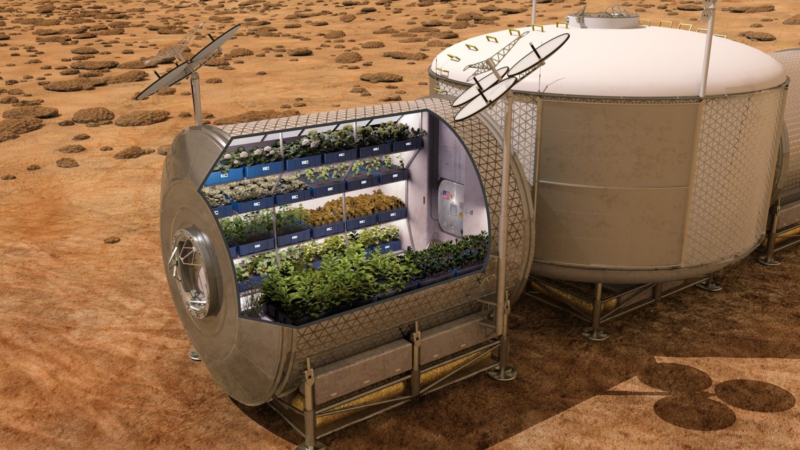 Resourcefulness or Recklessness? (image credits: wikimedia)