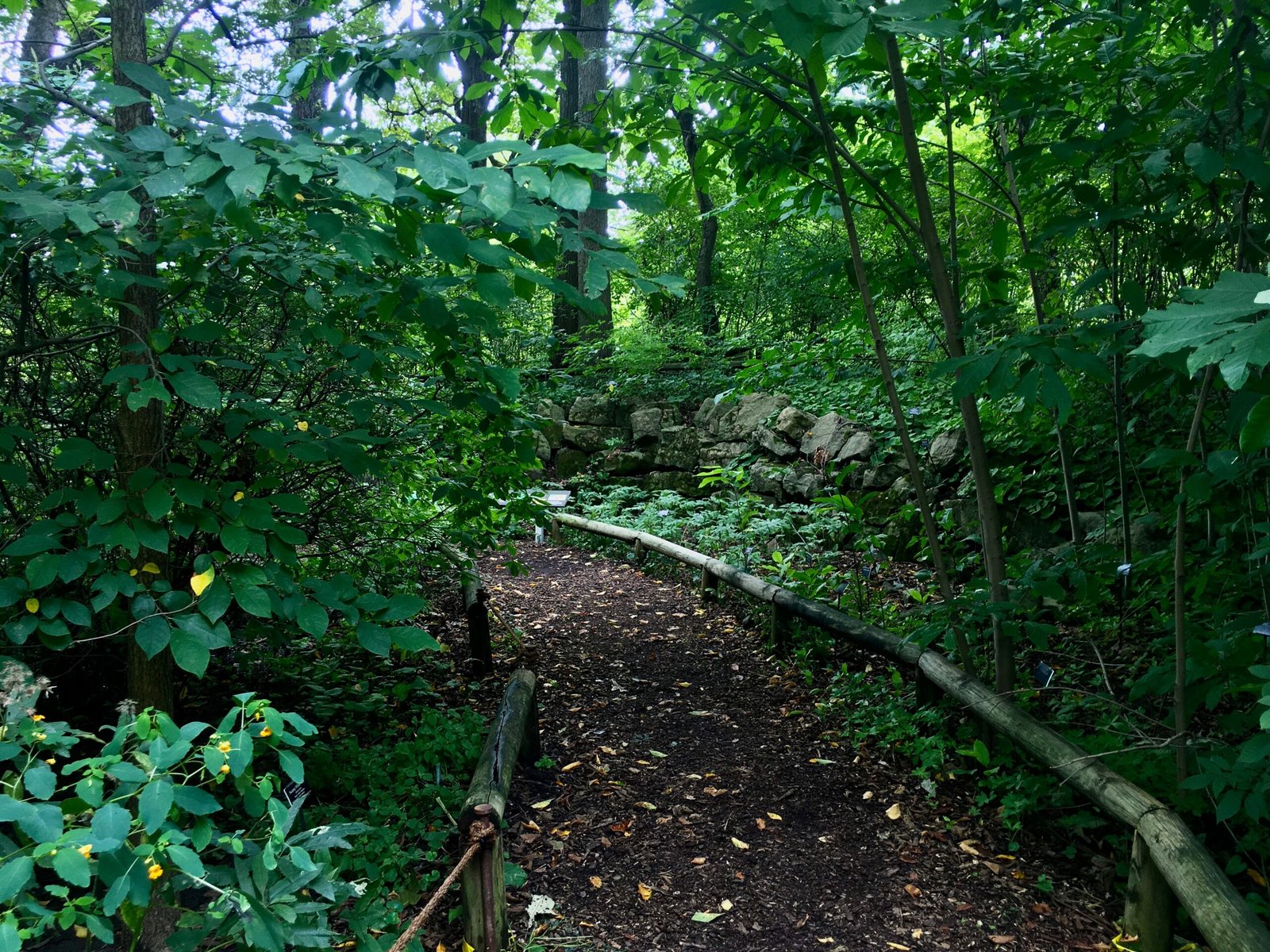 Native Gardens: How Ordinary People Are Making a Difference (image credits: wikimedia)