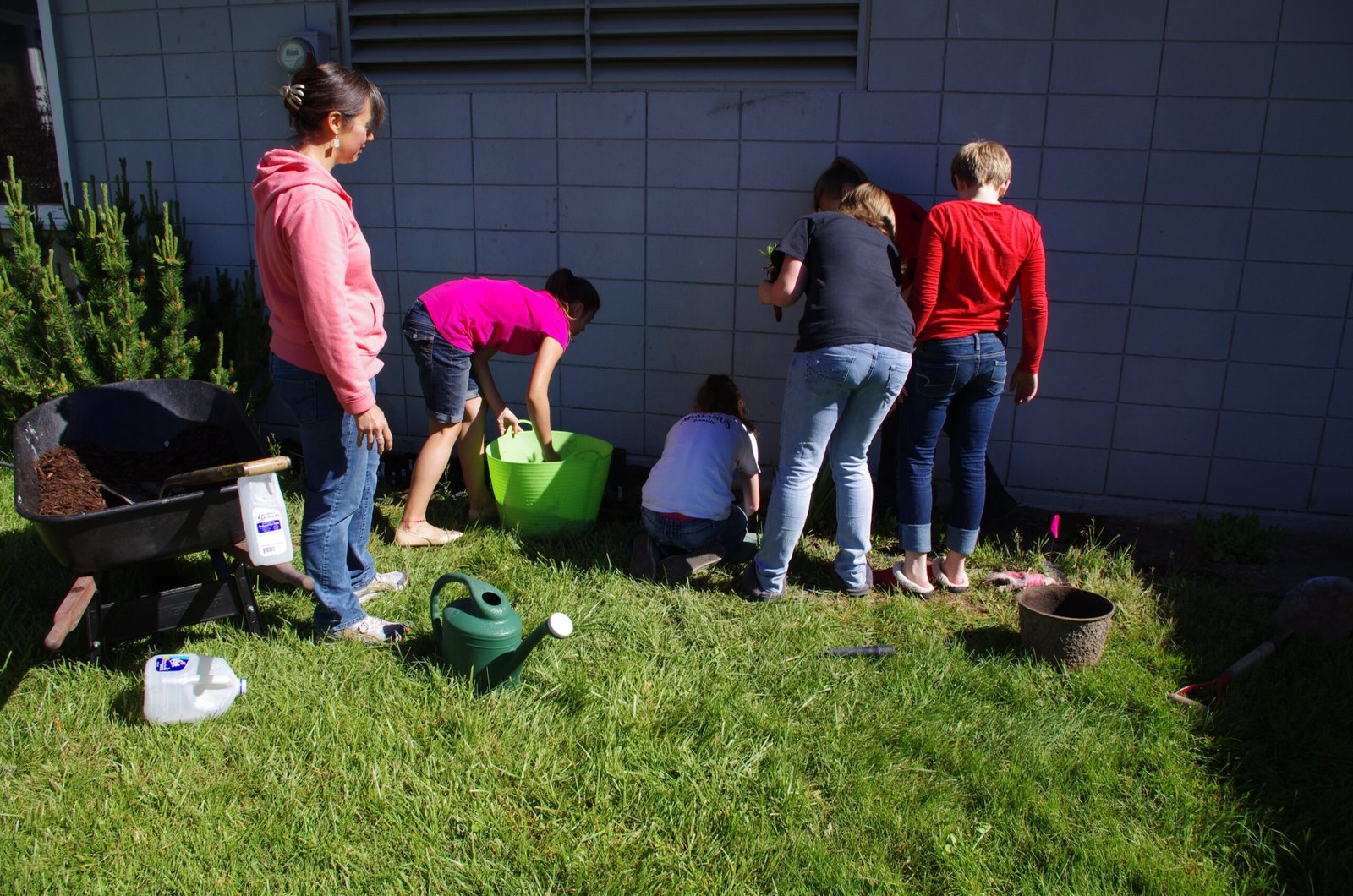 Education and Community Engagement (image credits: wikimedia)